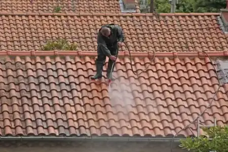 Nettoyage et démoussage de toiture à Barsac à Barsac